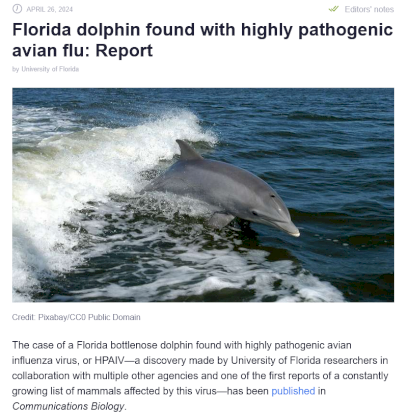 Screenshot 2024-04-27 at 04-57-50 Florida dolphin found with highly pathogenic avian flu Report.png