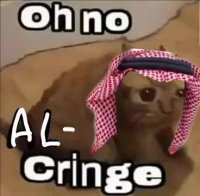 al cringe.mp4
