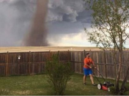 mow.jpg