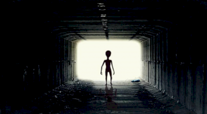 34543543534.PNG