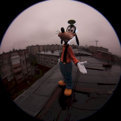 goofy.jpg