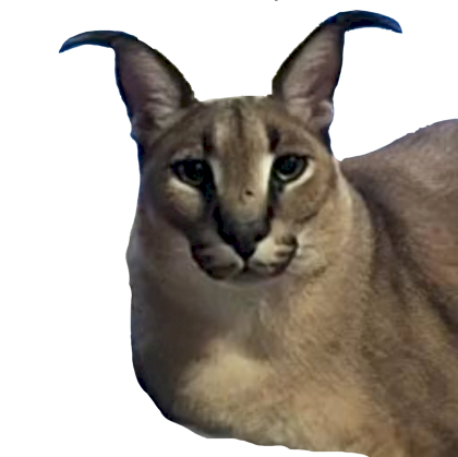 floppa.png