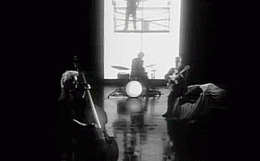 SparklingBoldArchaeocete-size_restricted.gif