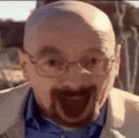 IMG_0543.gif