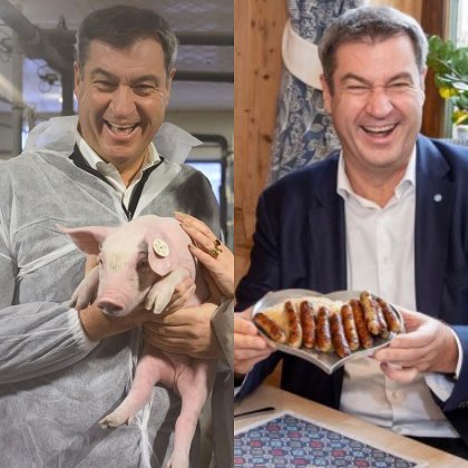 maggus oink oink quieeeck.jpg