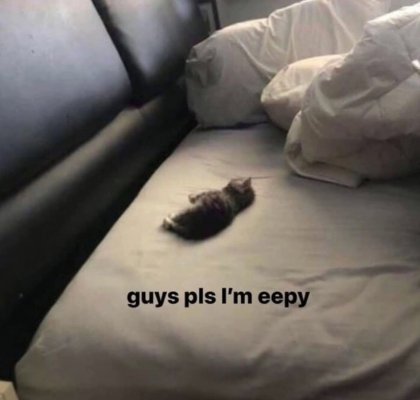 IMG_7054.jpeg