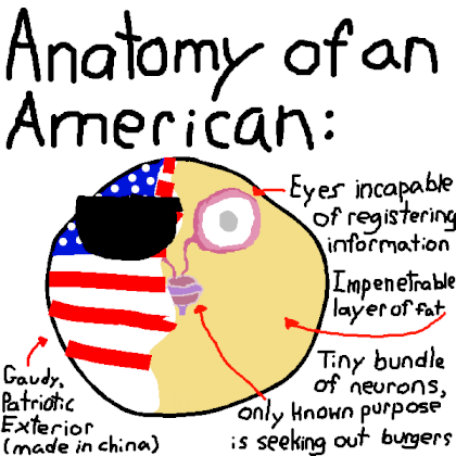 anatomy-of-american.png
