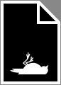 bird.jpg