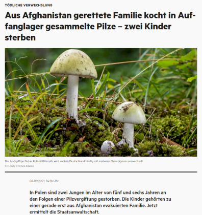 4d8e80cf13662e72ad6beff4da3e9aaace22cf9bd08fffe77aef57e7ebbadeb6.png