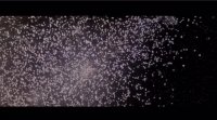 5655d00f14fd56c9.mp4