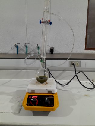 20241002_102132.jpg