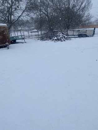 IMG_3259.jpeg