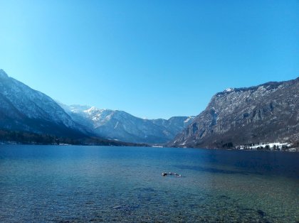 IMG_20230209_132322_4.jpg