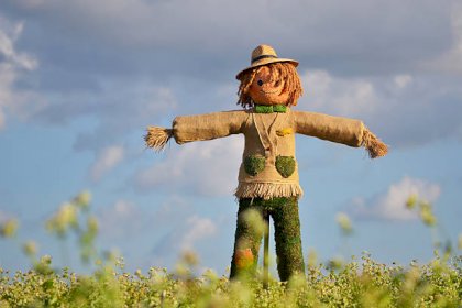 strawman-in-farm[1].jpg