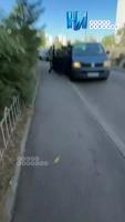 собак.mp4