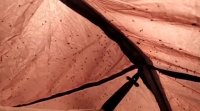 YouCut_20210820_095414288.mp4