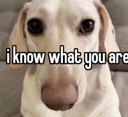 i know what you're.jpg