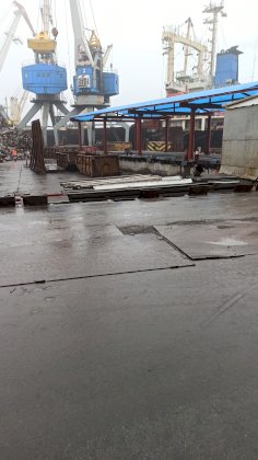IMG_20210602_082413.jpg