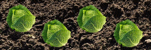 IMG_8013.gif
