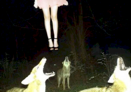 1675851572448360.png