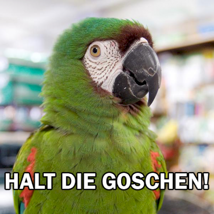 126667693782-0.png