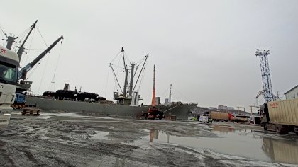 IMG_20210214_160043.jpg