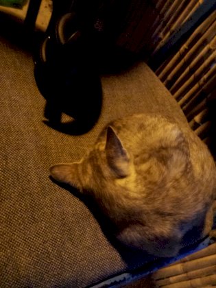 IMG_20171223_213020.jpg