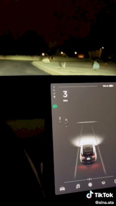 tesla.jpg