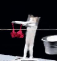 -5768803100970759554.mp4