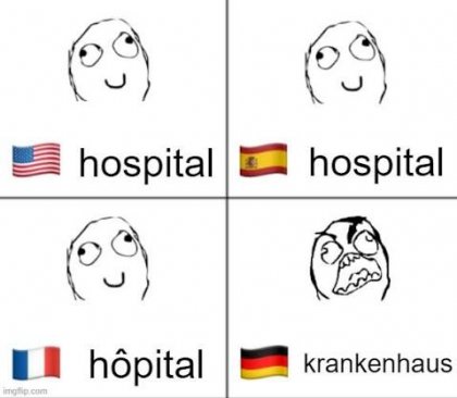 images (1).jpeg