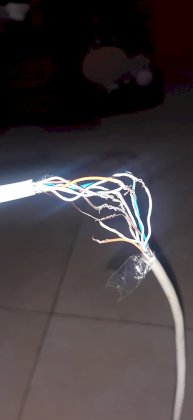 20220711_075858.jpg