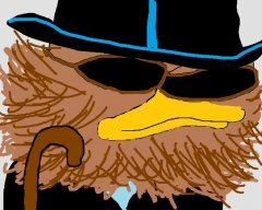 storefrogs2.jpg