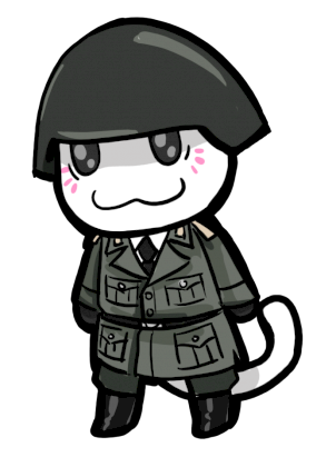 heinrich nva.png