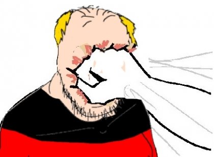 punching germonkey.jpg