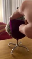 1642583539605.webm