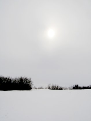 IMG_4535.jpg