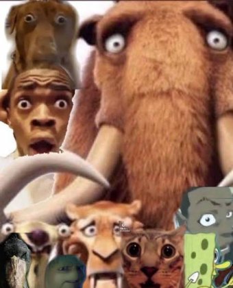 125283b9e3064cd49c871c727e3d9715_thumb.jpeg