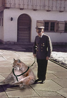 aatun kissa.jpg