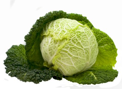 shutterstock_41054716.jpg