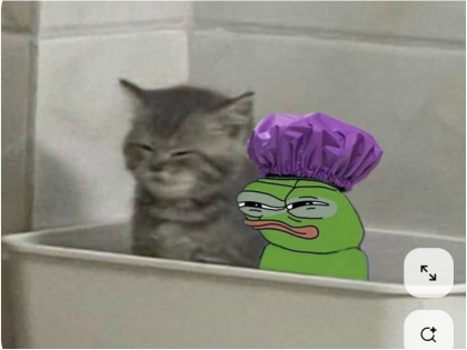 bath_frogs.png