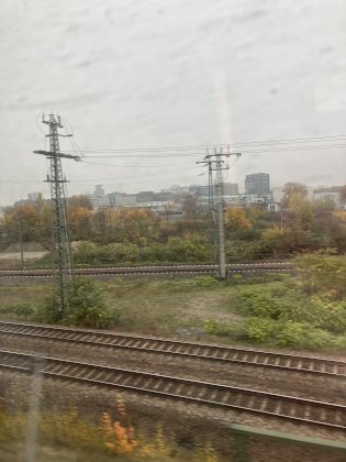 8B19BFA2-6D89-483B-B090-DA21B8D3CF88.jpeg