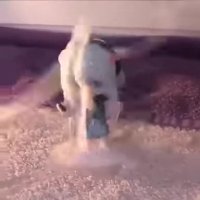 cum.webm