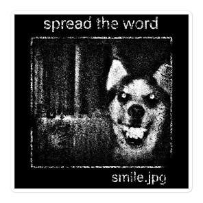 download (42).jpeg