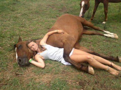 horsie.jpg