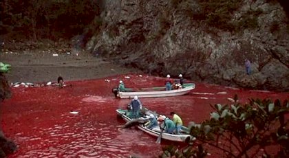 taiji11.jpg