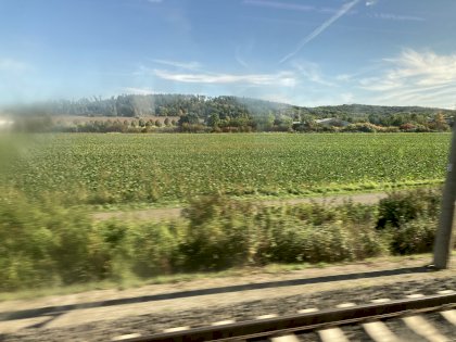 FA381EBC-0105-42E3-AC91-6E0B128528D7.jpeg
