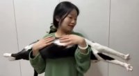 aAyYwXE_460svav1.mp4