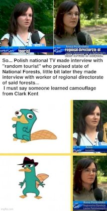 zcg28cq3f9d71.jpg