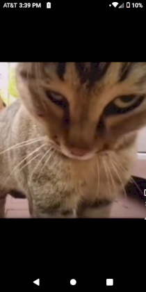 Screenshot_20240402-153937.png