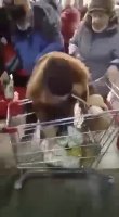 Db7ro5GVHlXrQrcB.mp4